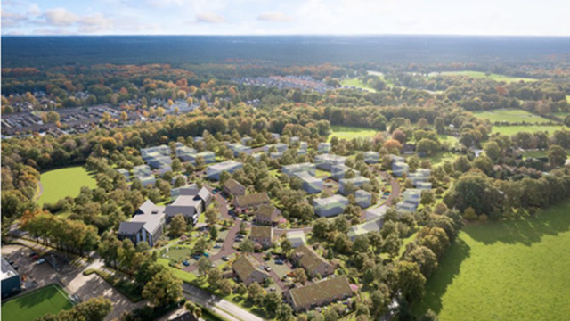 Hokseberg
